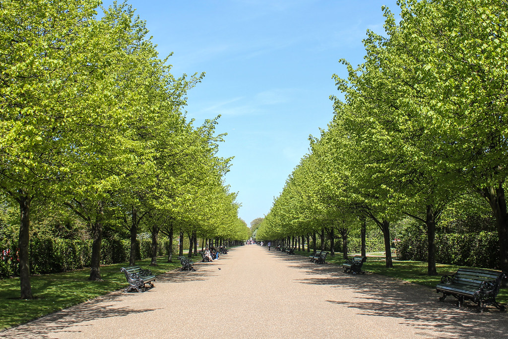 Alameda arbolada en Regent's Park, Londres, con bancos a lo largo de un camino central en un día claro.