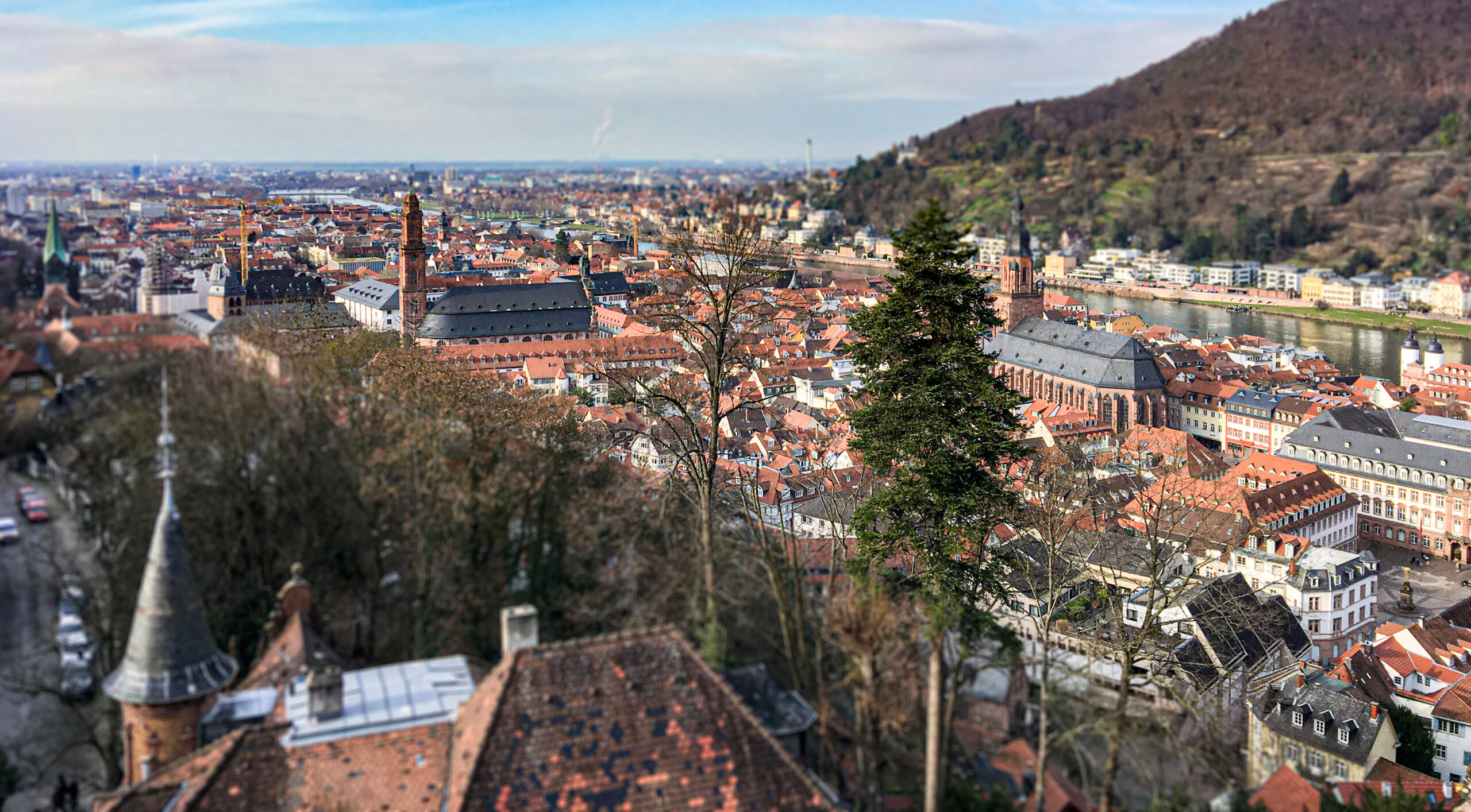Panorámica de Heidelberg desde el Castillo.
